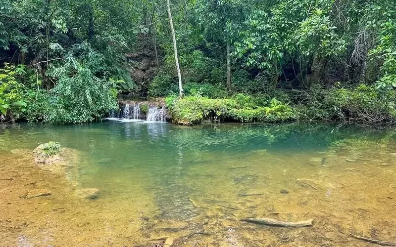 cachoeira-da-figueira
