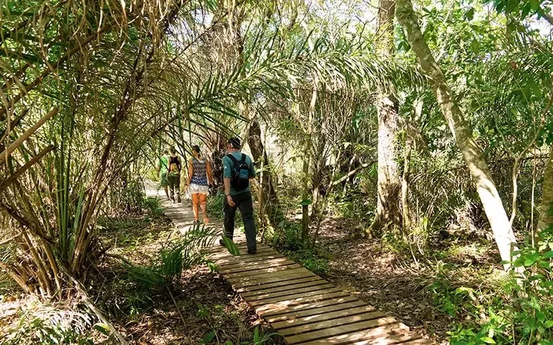 trilha-pantanal