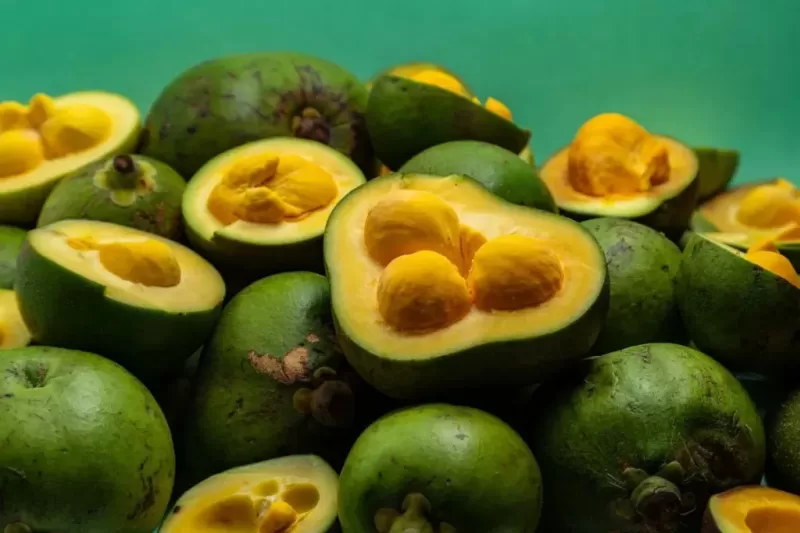 int-pequi-1024x683