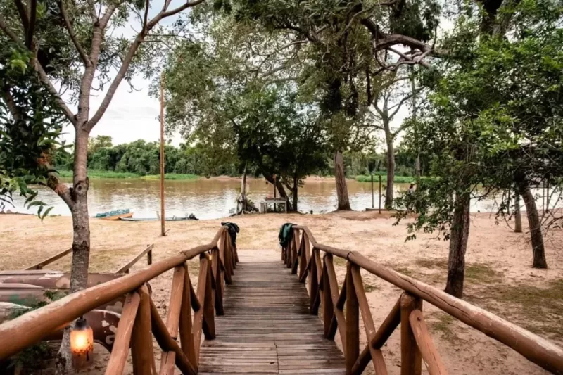 Jungle-Lodge-Pantanal-1-1024x683
