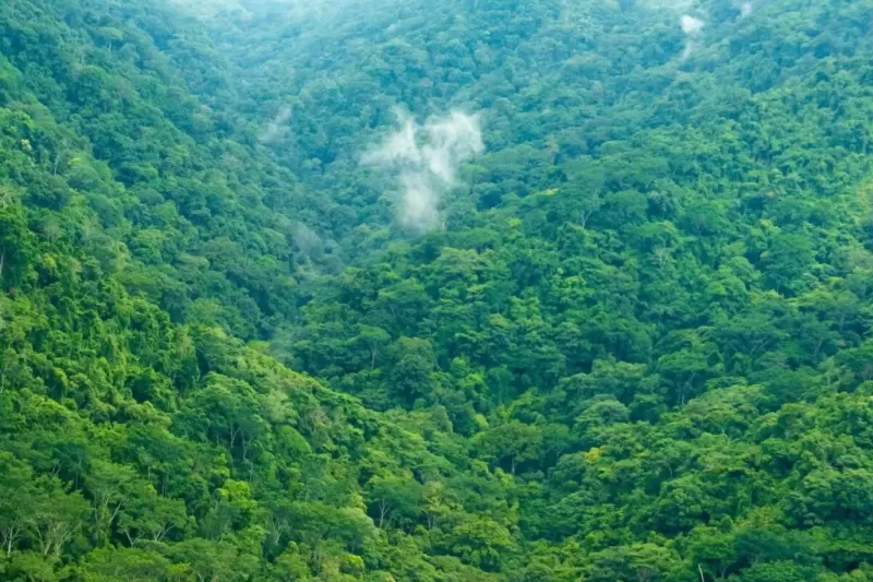 areas-de-protecao-ambiental-1024x683