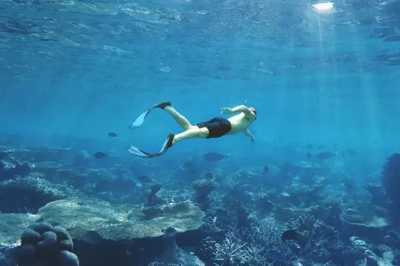 int1-snorkeling-1024x683