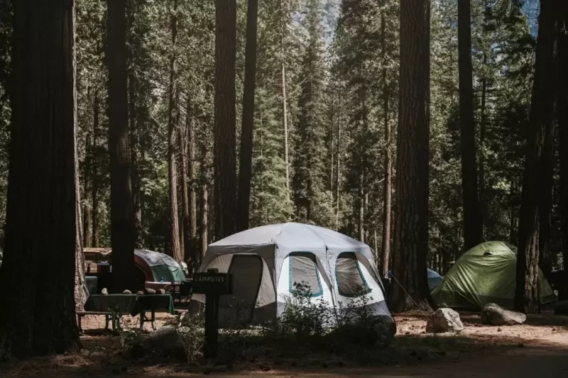 camping-1024x683