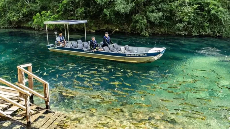 Rio-sucuri-e-o-Rio-da-Prata-Rio-da-Prata-1024x576