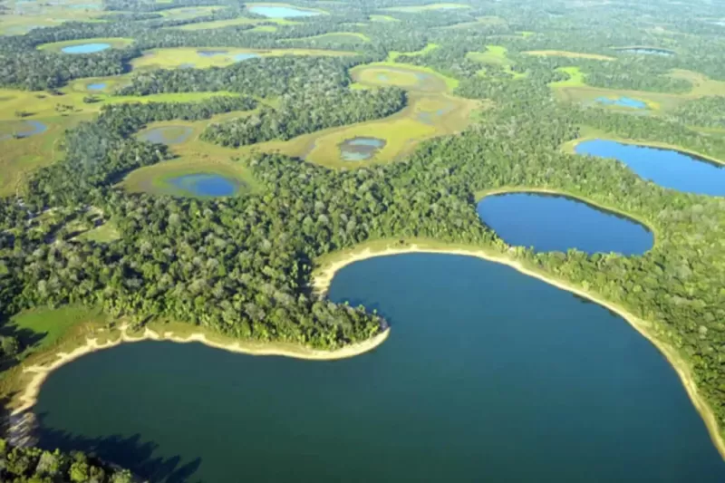 curiosidades-sobre-o-Pantanal-1-1024x683