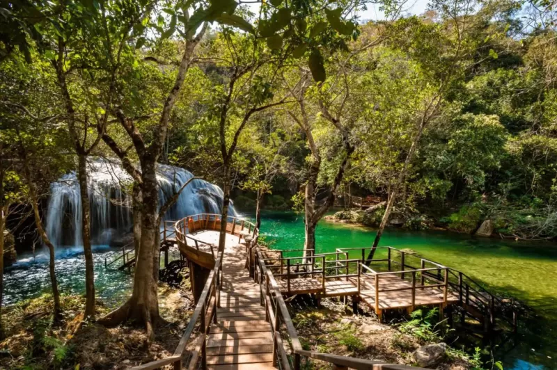 CopiadeParquedasCachoeiras-MarcusMoriyama-1024x682