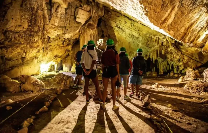 showimg_IMG_5135__Copy_-1024x655