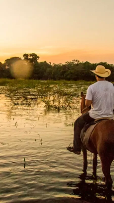 Pantanal-3-576x1024